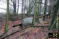 Findling 1 bei Haselberg nahe Wierzen in der Märkischen Schweiz, Brandenburg, (D) (3) 24. Januar 2016.JPG